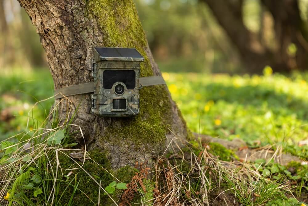 Jak działa kamera fotopułapka na złodzieja?